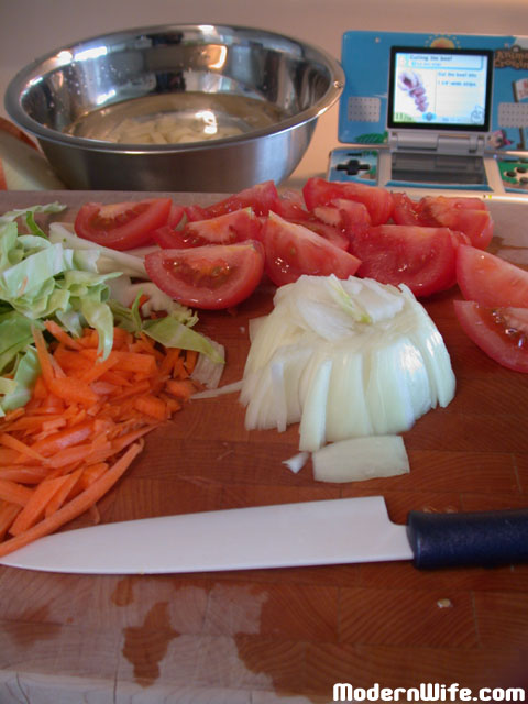 Cooking with Personal Chef Nintendo DS