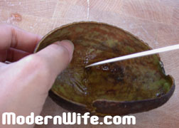 avocado skins arts and crafts