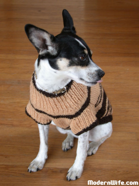 Wool Dog Sweater