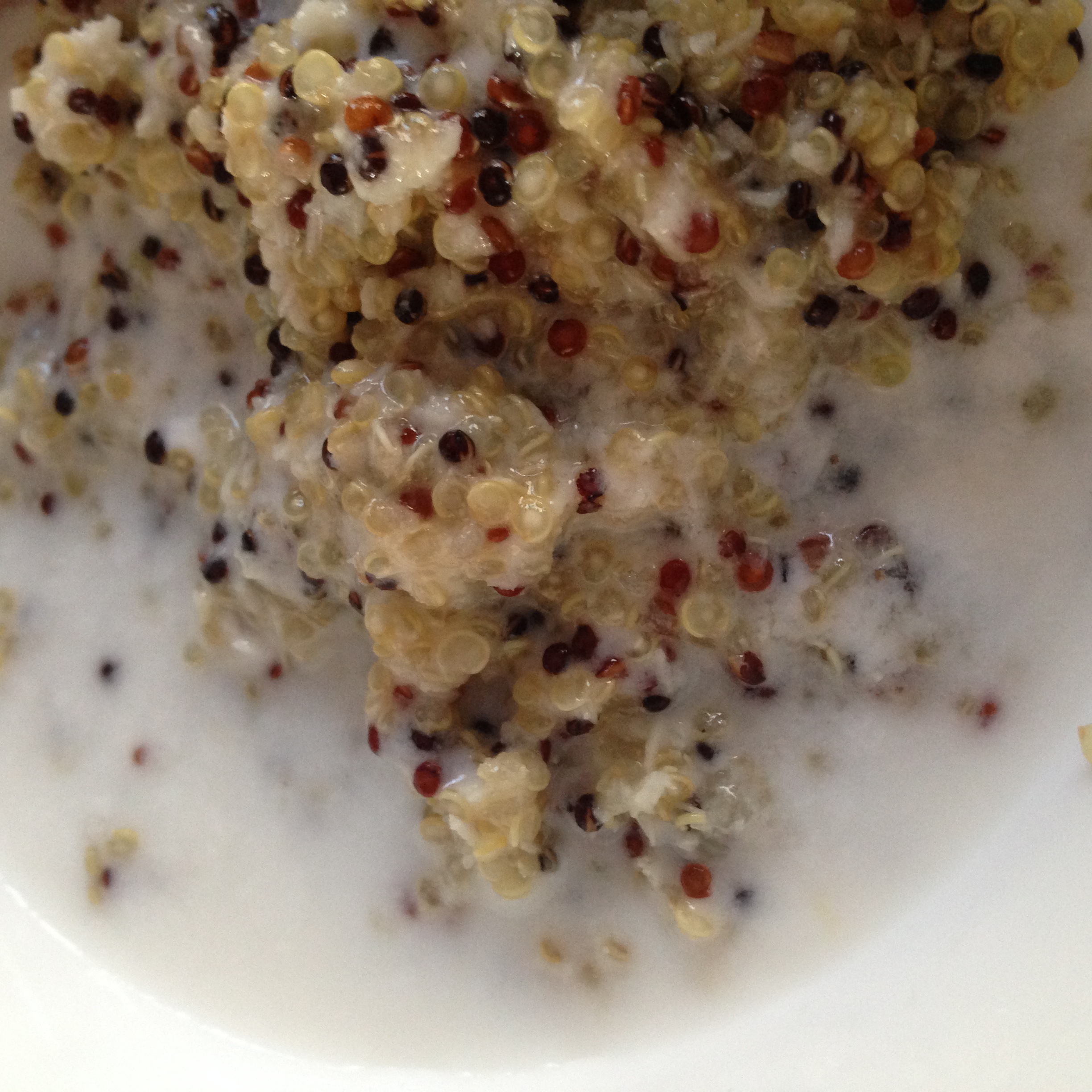 Coconut Quinoa Cereal recipe